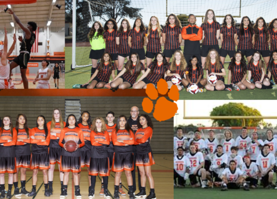 2017 Sports: Basketball, soccer, lacrosse, and football