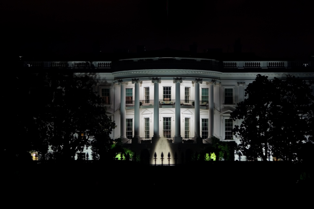 White House Building (Dollyllama)