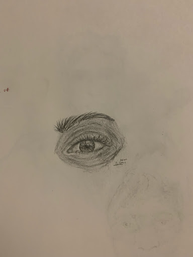 Pencil drawing of an eye and eyebrow.